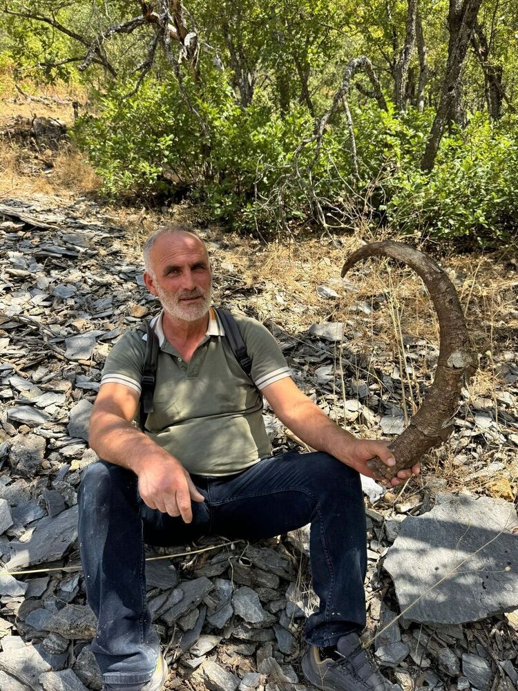  48689363  Rayber, 98 ,    