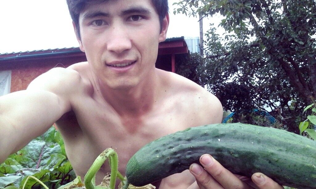 ���������� ������ ��������, ���� ������� �����, 33 ����, ������������ ��� ������, ����� � ���������, c�������� ���������