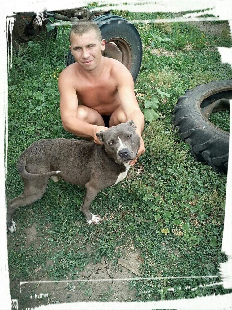 ���������� ���������, ���� ������� �����, 32 ����, ������������ ��� ����� � ���������, c�������� ���������