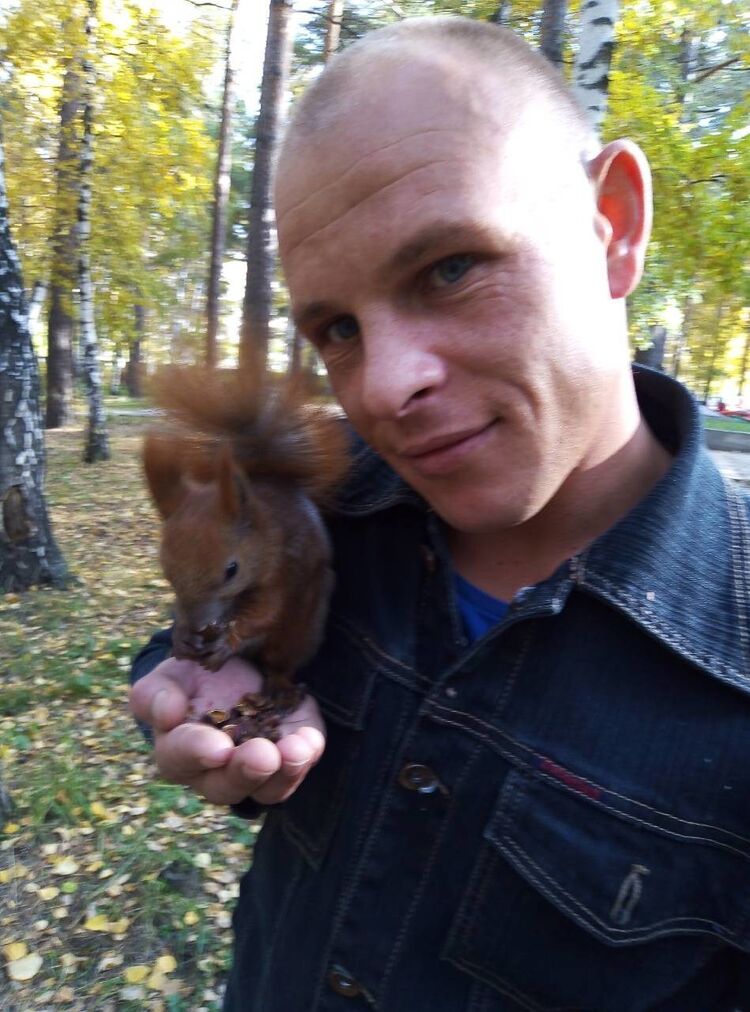 ���� 55304113 ������� �������, 34 ����, ���� ���������� � ������