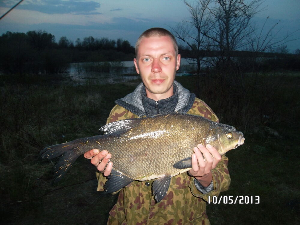 ���������� �������, ���� ������� �������, 41 ���, ������������ ��� ������, ����� � ���������, c�������� ���������