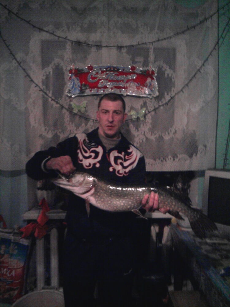 ���������� �����������, ���� ������� �������, 38 ���, ������������ ��� ������, ����� � ���������, c�������� ���������