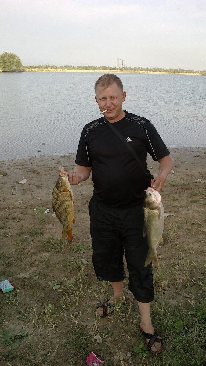 ���������� �����, ���� ������� ����������, 41 ���, ������������ ��� ������