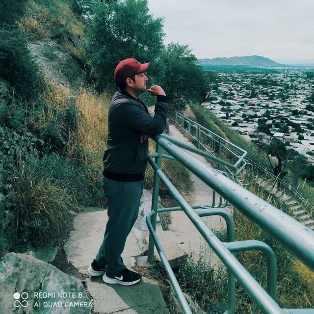  31023363  , 34 ,    