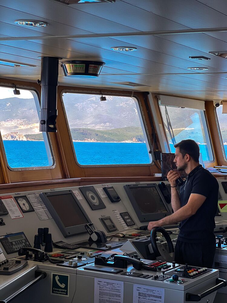  53597203  Rauf, 26 ,    