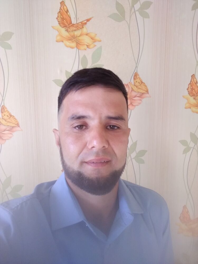  28753053  , 36 ,    -