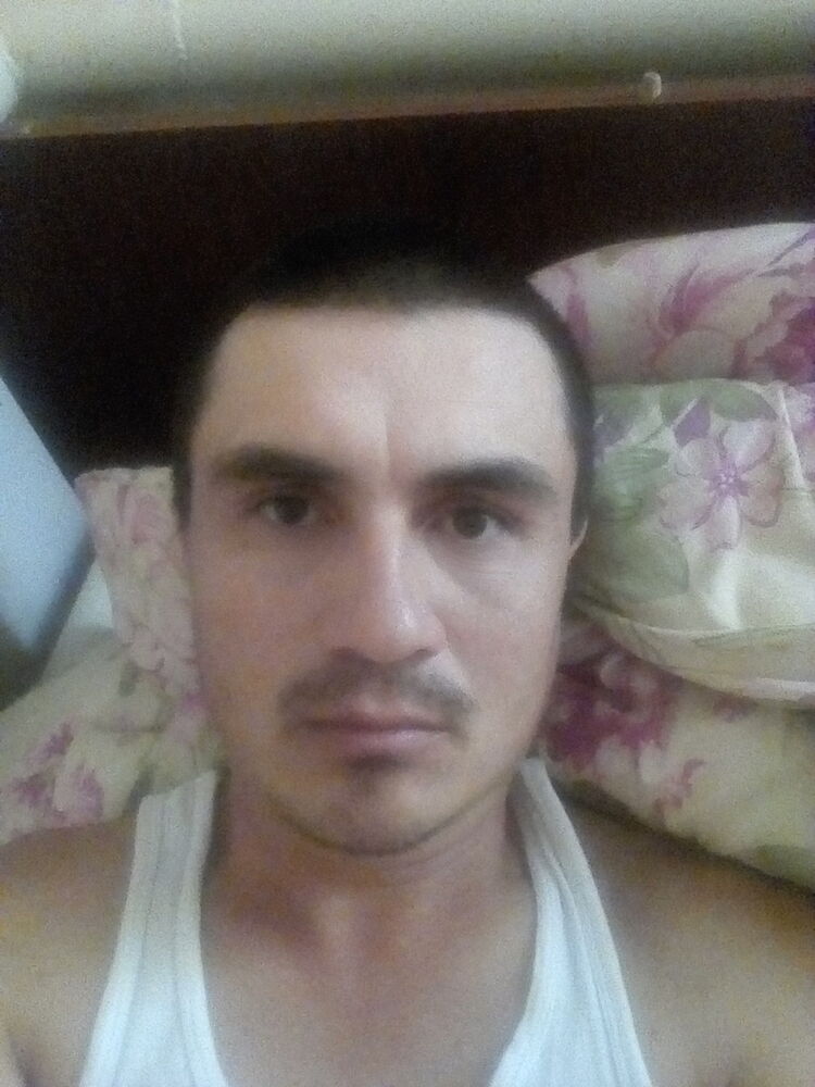  10337683  , 40 ,    
