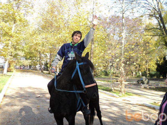 ���������� �����������, ���� ������� Mario, 36 ���, ������������ ��� ����� � ���������, c�������� ���������