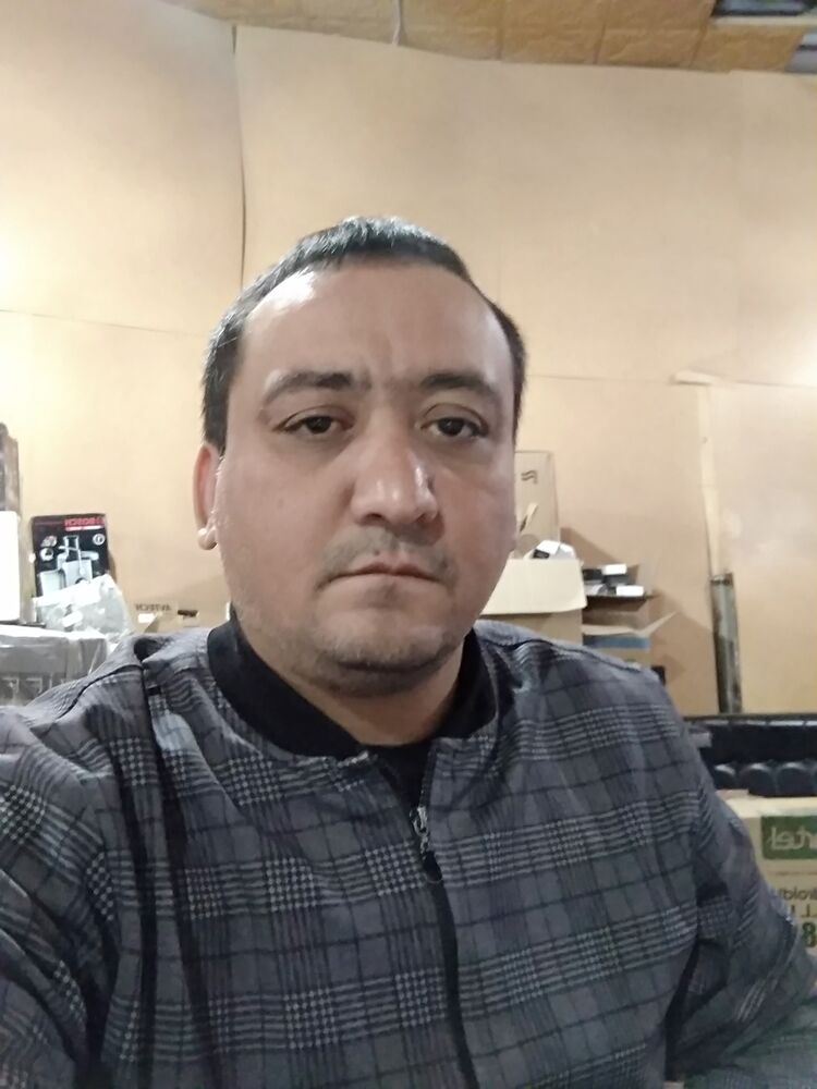  47253333  , 41 ,    