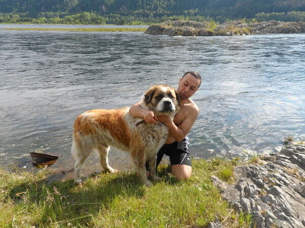  6150273  VARDAN, 49 ,    