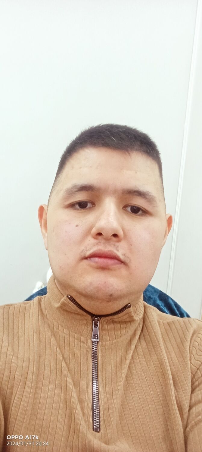  43951523  , 33 ,    
