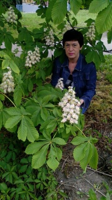  ,   , 55 ,   ,   , c 