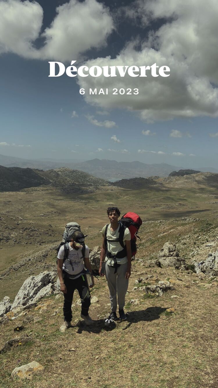  49678193  , 24 ,    