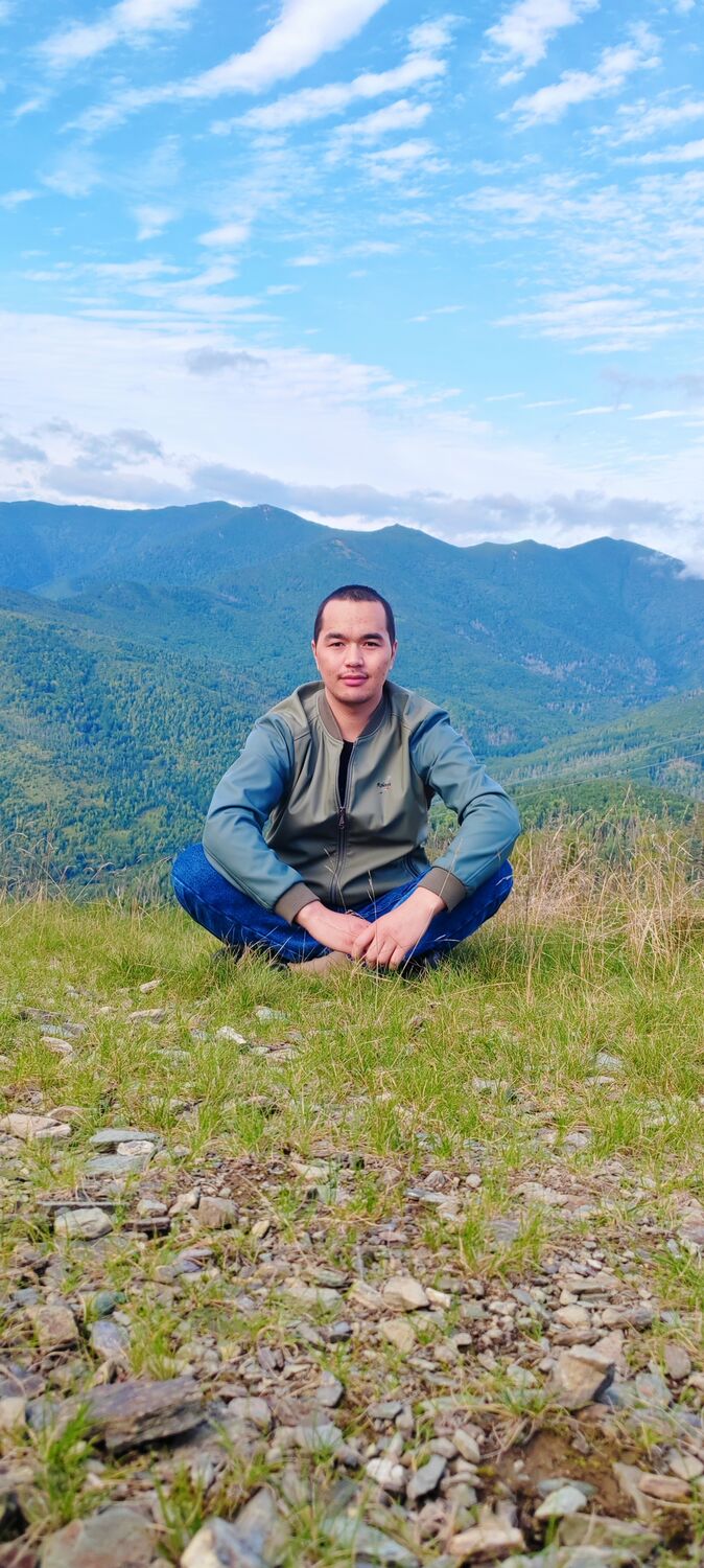  37287313  , 33 ,    -