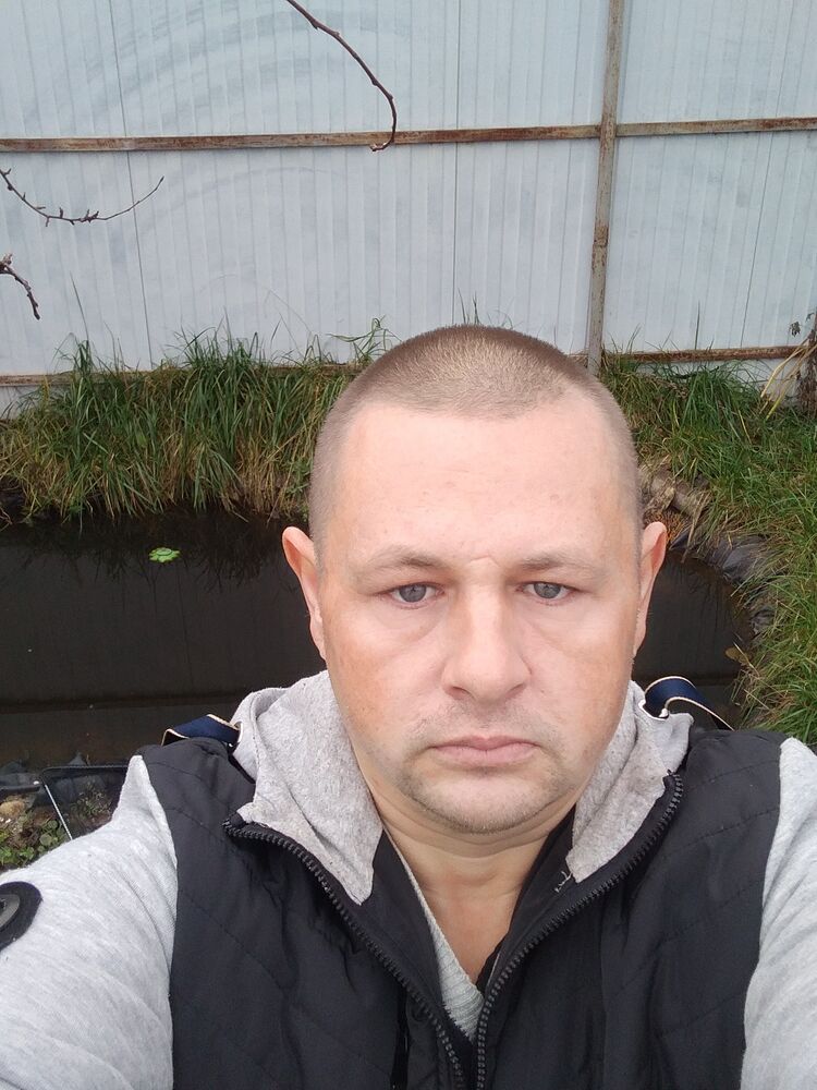  31646683  , 45 ,    