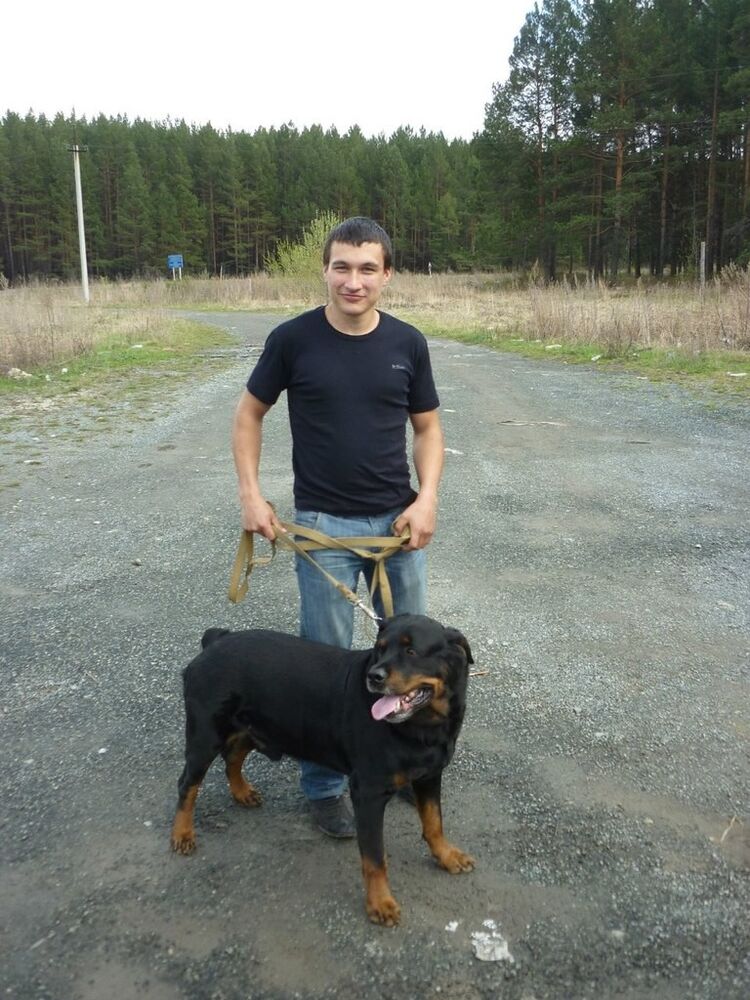 ���� 5457563 ������� �������, 35 ���, ���� ���������� � �������������