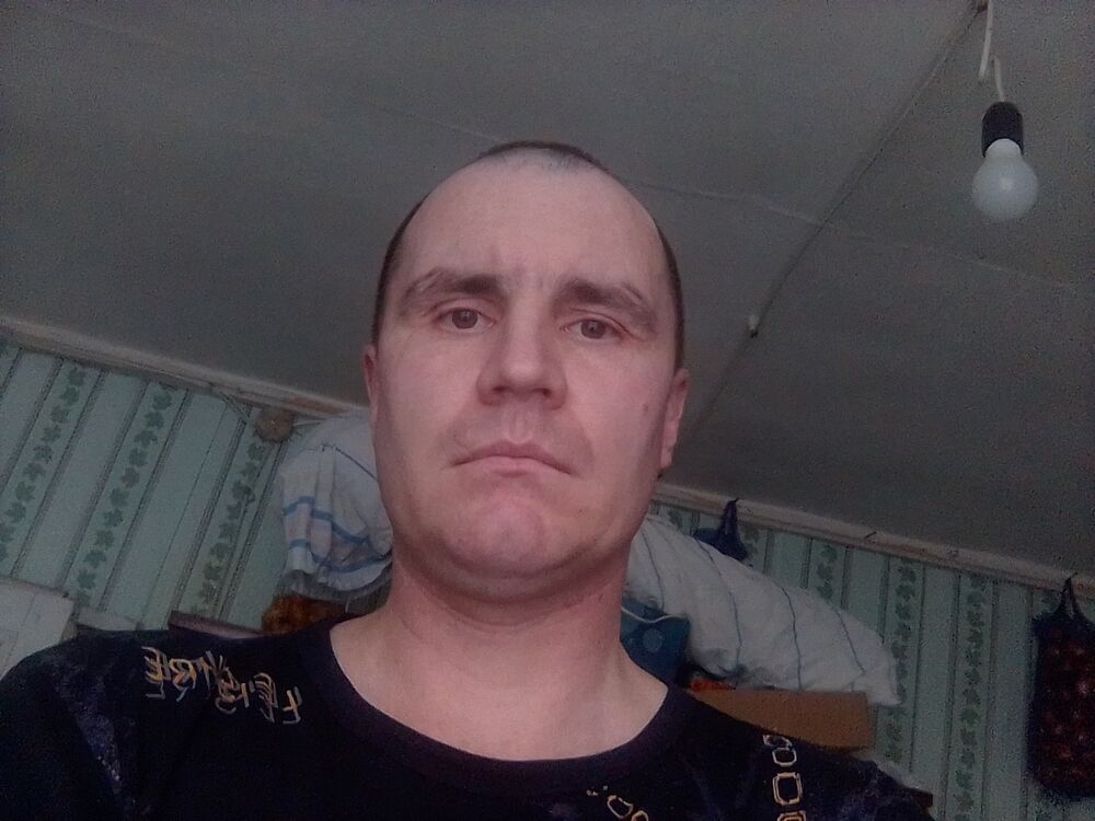  31913303  , 44 ,    