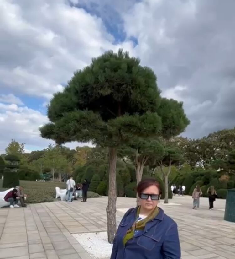  53789353  , 56 ,    