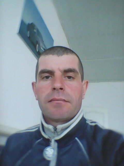  -,   , 43 ,   