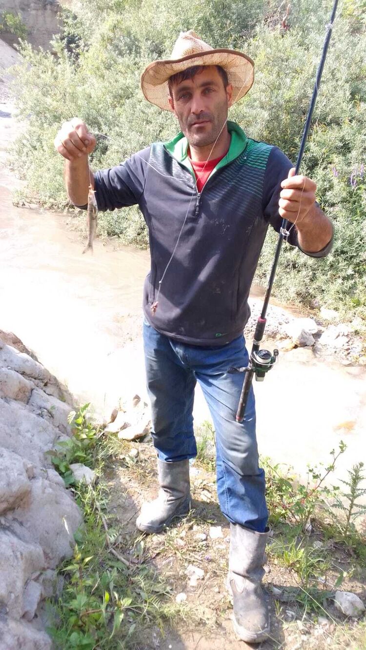 ���������� ���������, ���� ������� ������, 36 ���, ������������ ��� ����� � ���������, c�������� ���������, ���������