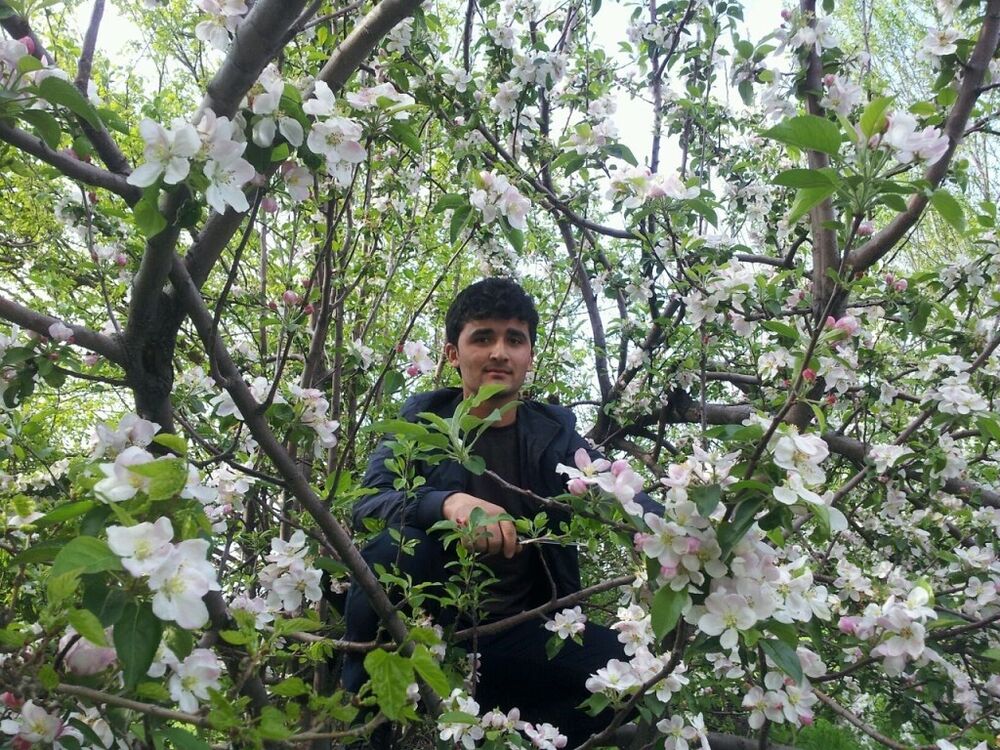 ���������� �������, ���� ������� ������, 33 ����, ������������ ��� ������, ����� � ���������, c�������� ���������, ���������