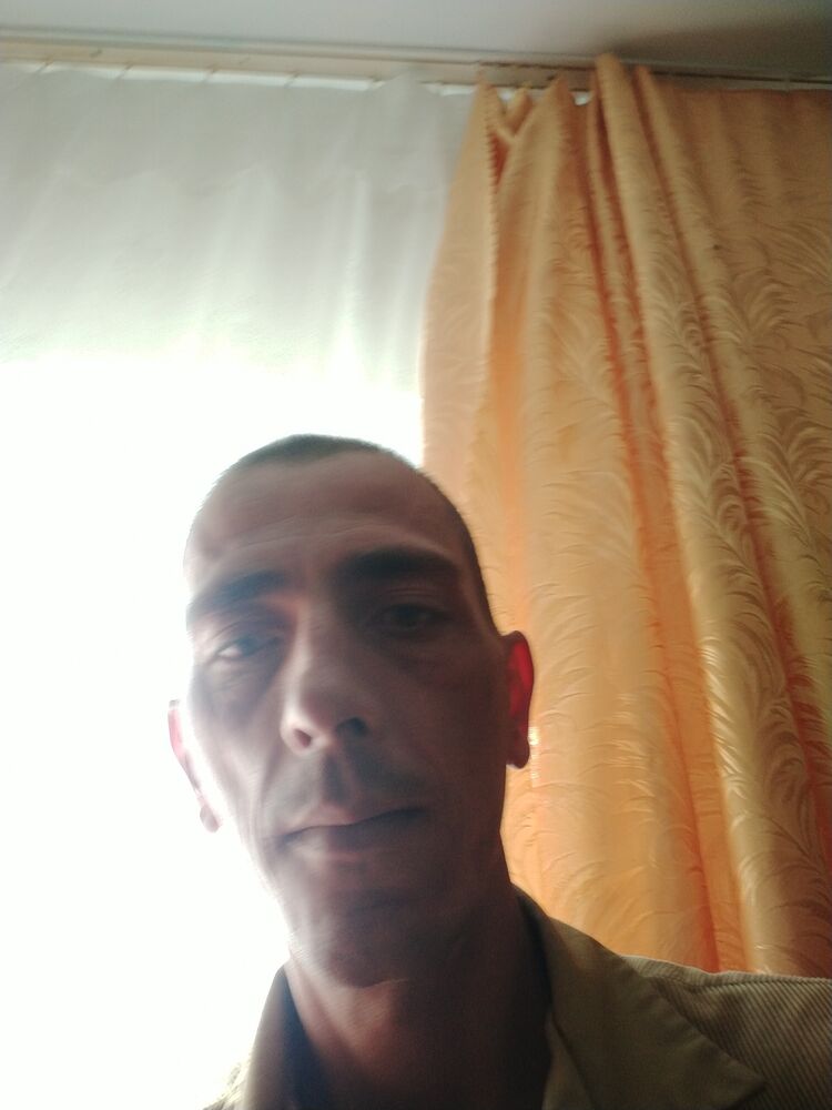  33661253  , 39 ,    