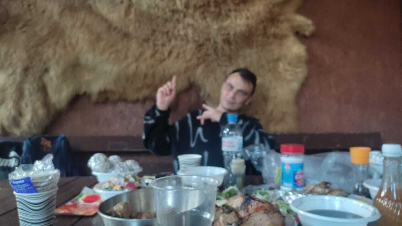  53668533  , 41 ,    
