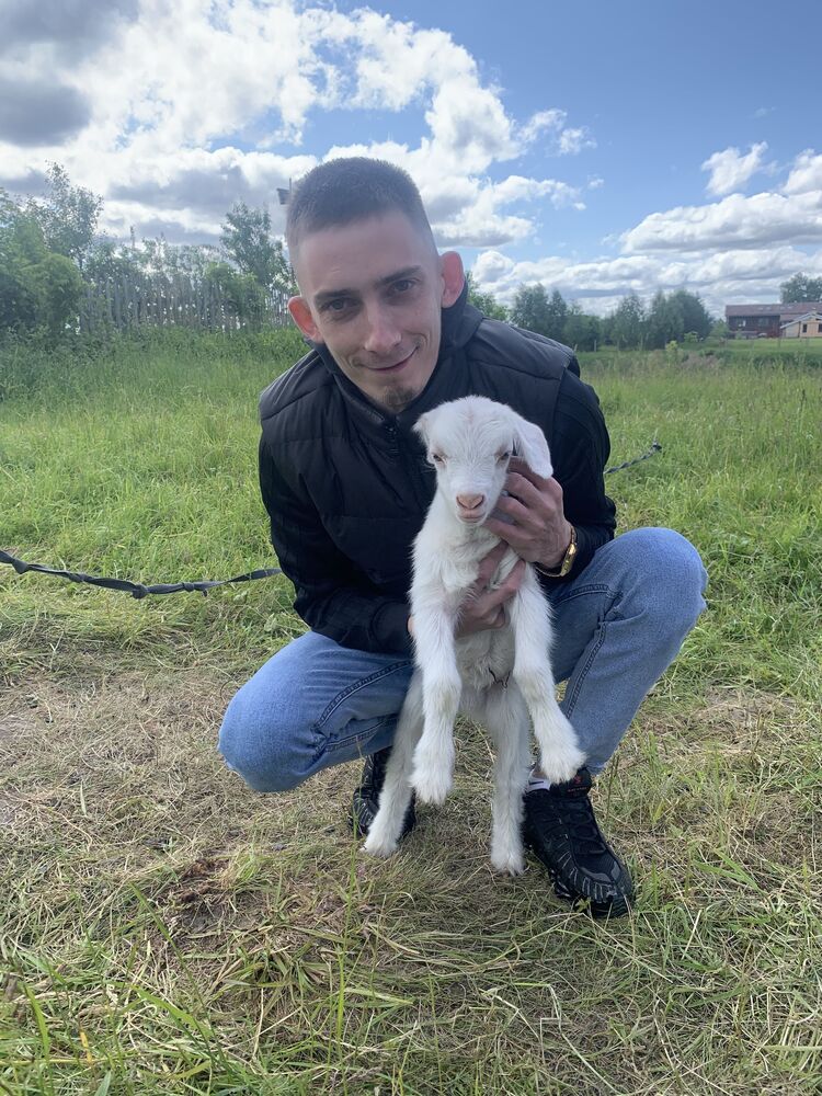 ���� 37229813 ������� ����, 32 ����, ���� ���������� � �����������