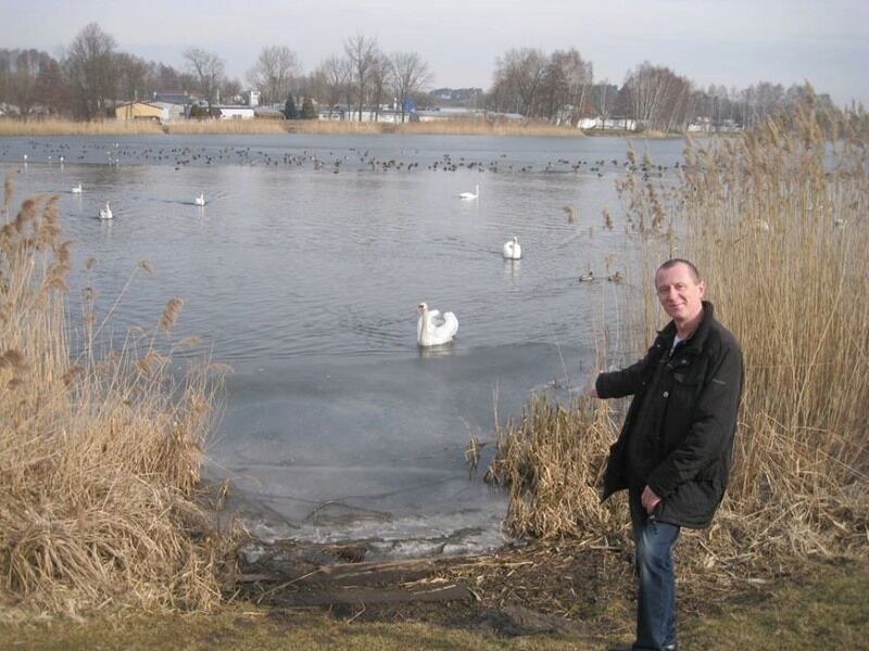 ���� 47860853 ������� ����, 49 ���, ���� ���������� � ������