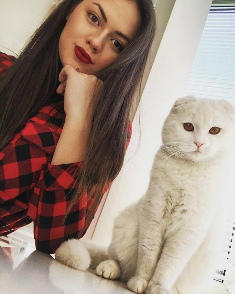 ���� 23868103 ������� ������, 38 ���, ���� ���������� � �������������