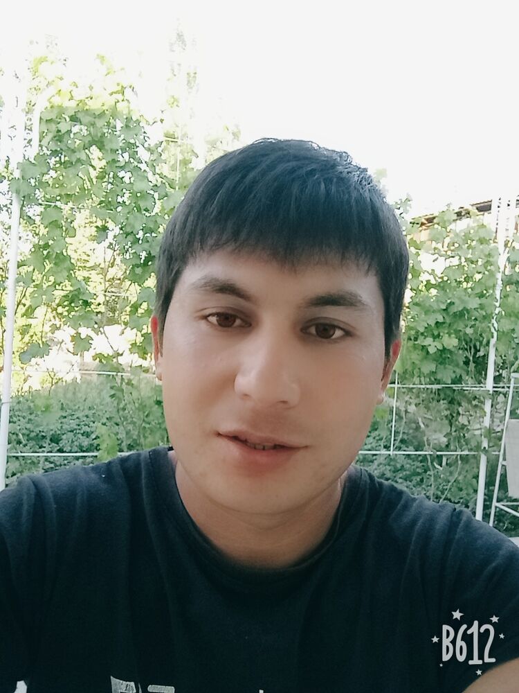  23657163  , 33 ,    