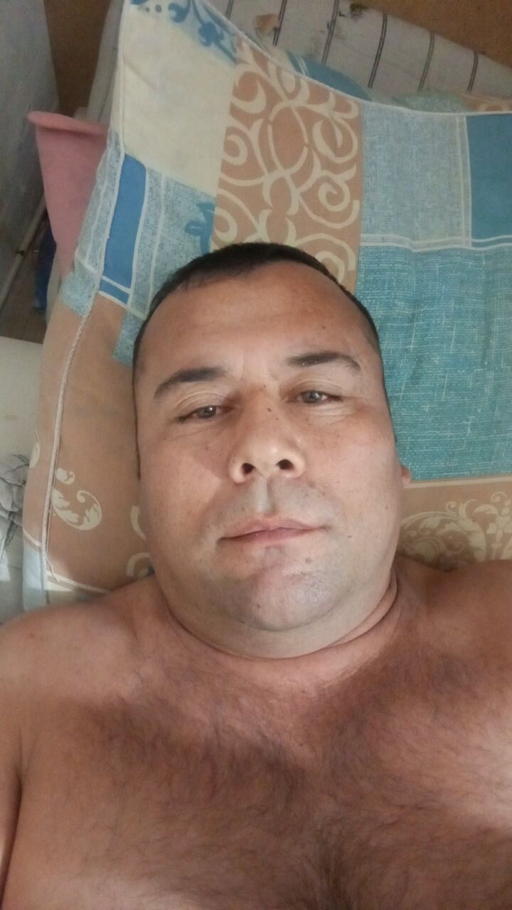  52825413  , 41 ,    