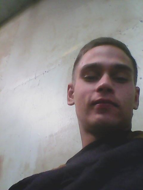  7352653   , 31 ,    