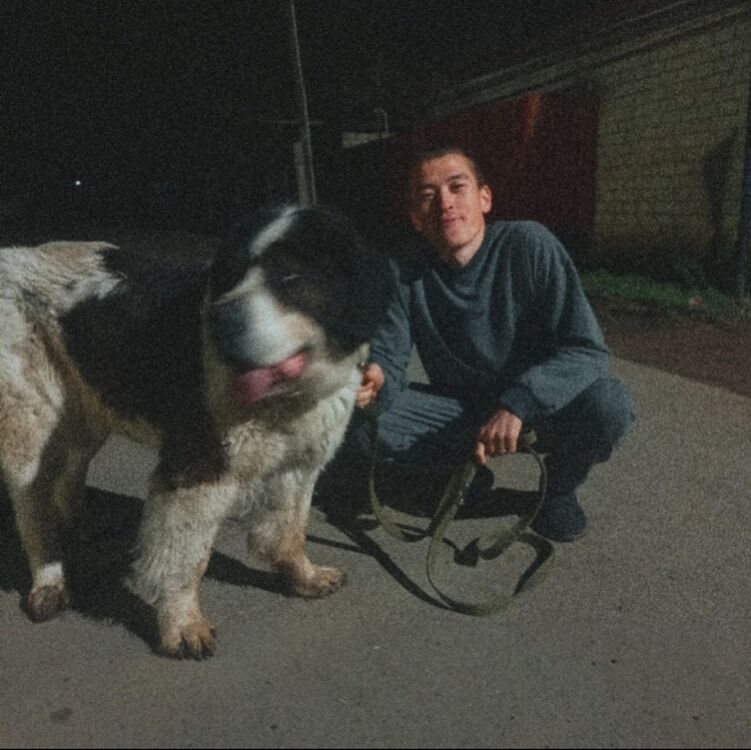 ���������� ��������, ���� ������� ������, 26 ���, ������������ ��� ������, ����� � ���������