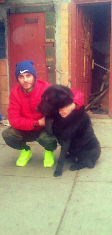 ���������� �������, ���� ������� �������, 41 ���, ������������ ��� ������, ����� � ���������, c�������� ���������