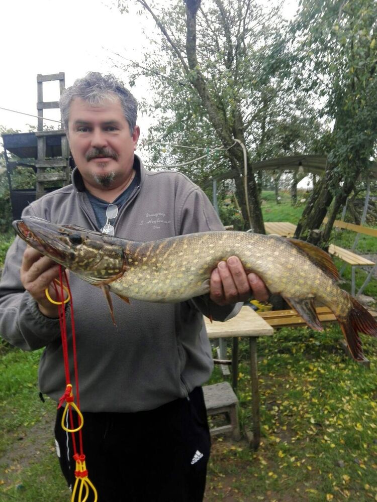  ,   , 59 ,   