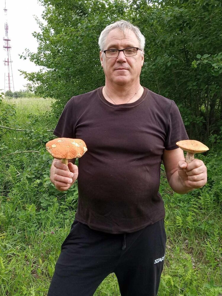 ���� 33865773 ������� ������, 54 ����, ���� ���������� � ��������