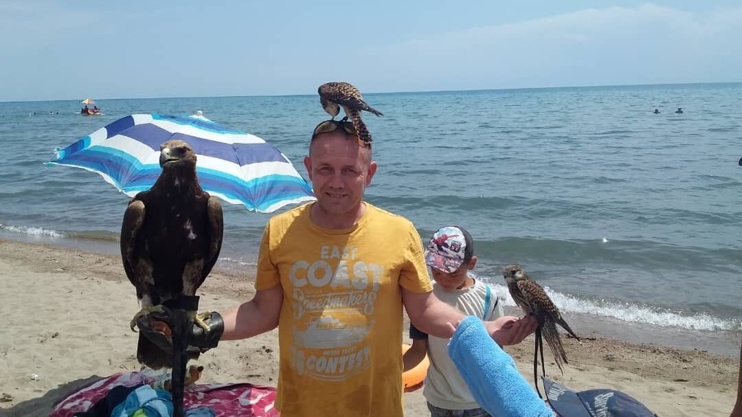 ���� 17409303 ������� ������, 54 ����, ���� ���������� � �������