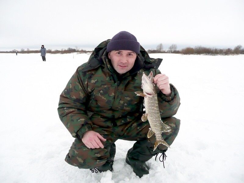 ���� 16466883 ������� ������, 52 ����, ���� ���������� � ��������