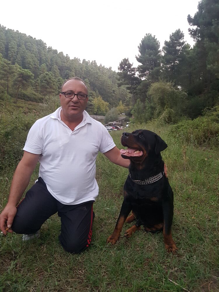  50021273  Bayram, 55 ,    