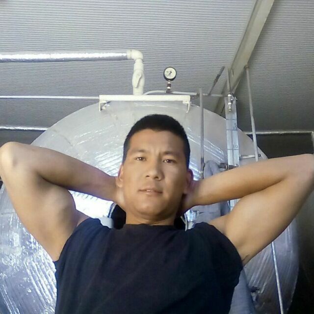  31820483  , 29 ,    