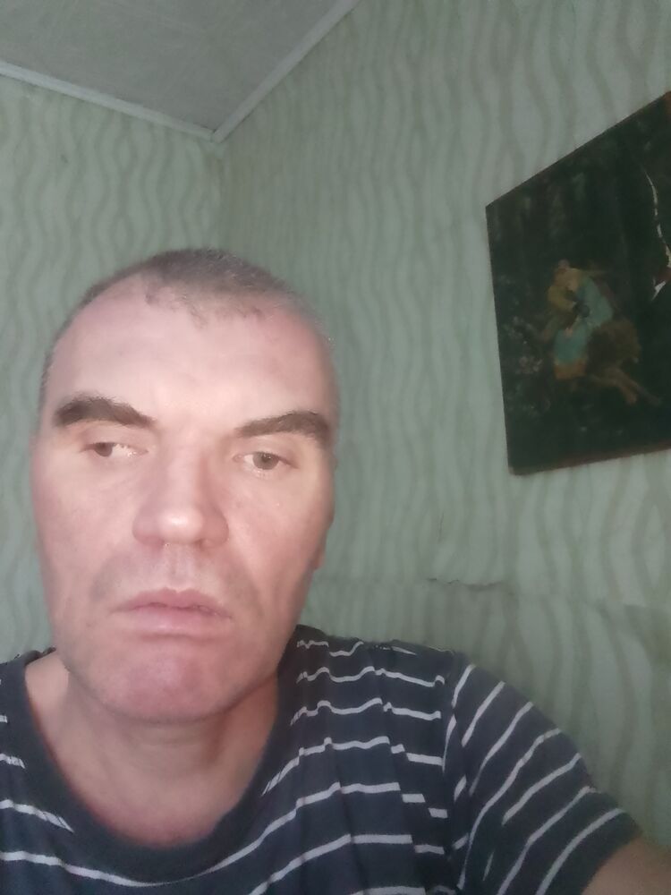  48099593  , 47 ,    