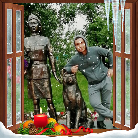 ���� 24931533 ������� �������, 38 ���, ���� ���������� � ������