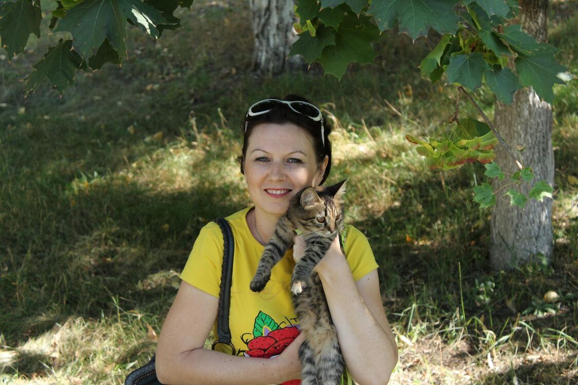 ���� 31131053 ������� �����, 51 ���, ���� ���������� � ������