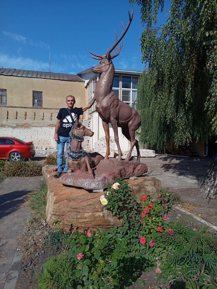 ���� 53172263 ������� �������, 43 ����, ���� ���������� � �����