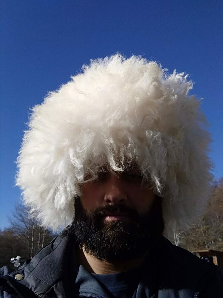 ���� 50138143 ������� �����, 44 ����, ���� ���������� � �������