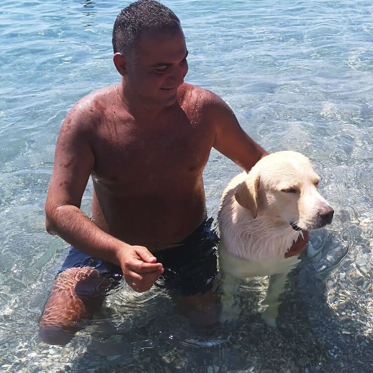 ���������� �������, ���� ������� Orkun, 39 ���, ������������ ��� ������, ����� � ���������