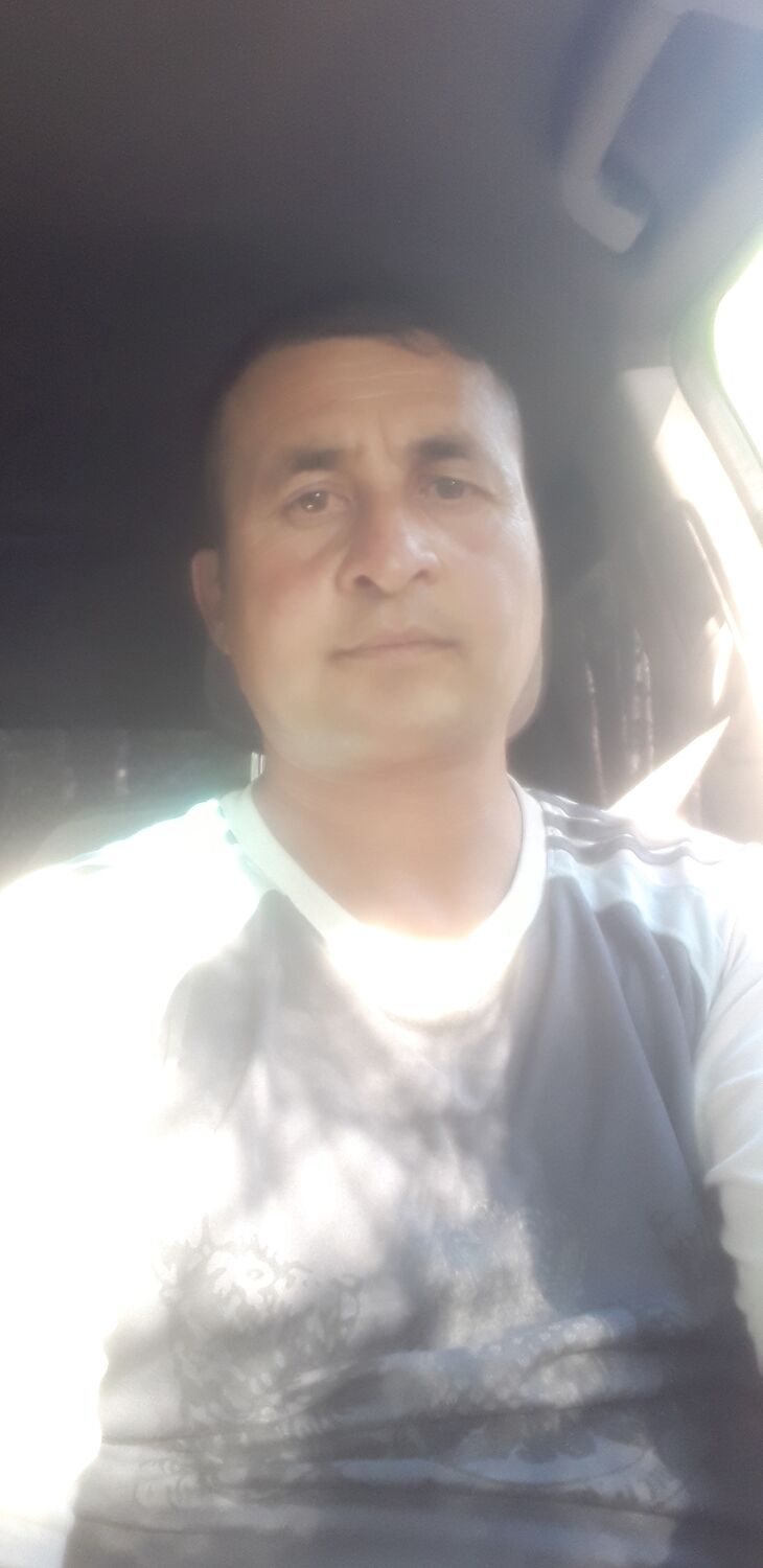  43966823  , 40 ,    