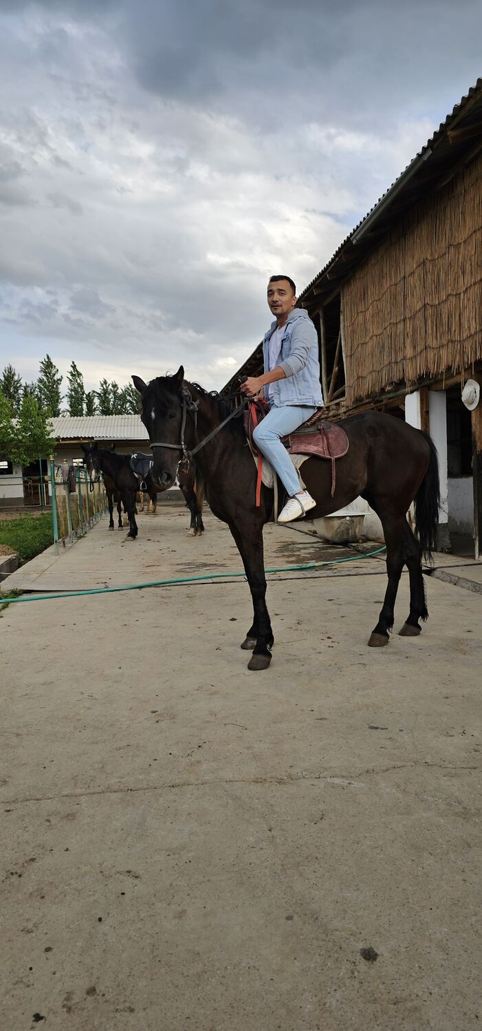 ���������� �������, ���� ������� ������, 36 ���, ������������ ��� ������, ����� � ���������