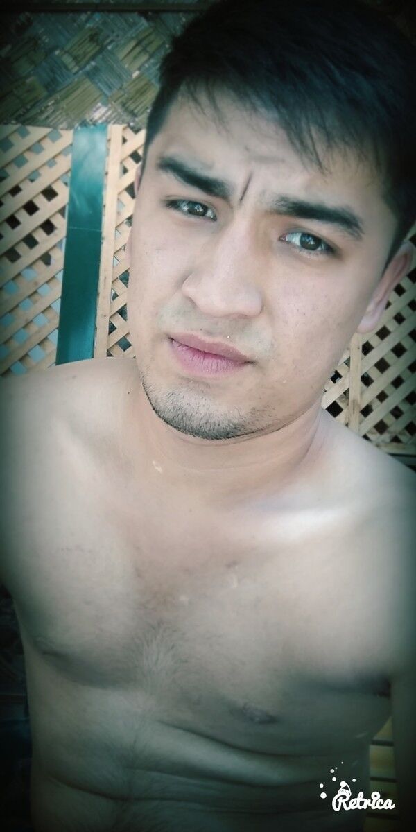 ���������� �������, ���� ������� Sardor, 26 ���, ������������ ��� ������, ����� � ���������, c�������� ���������